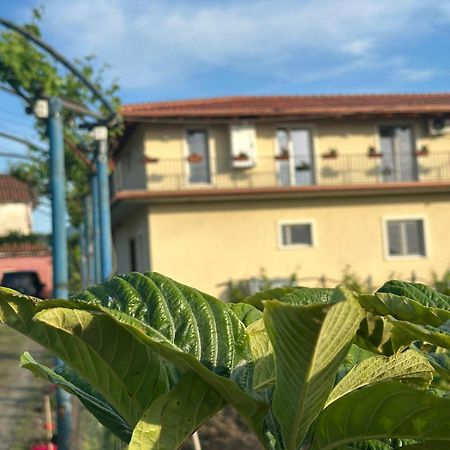 Guesthouse Marku - Mrizi I Zanave Fishte Exterior photo